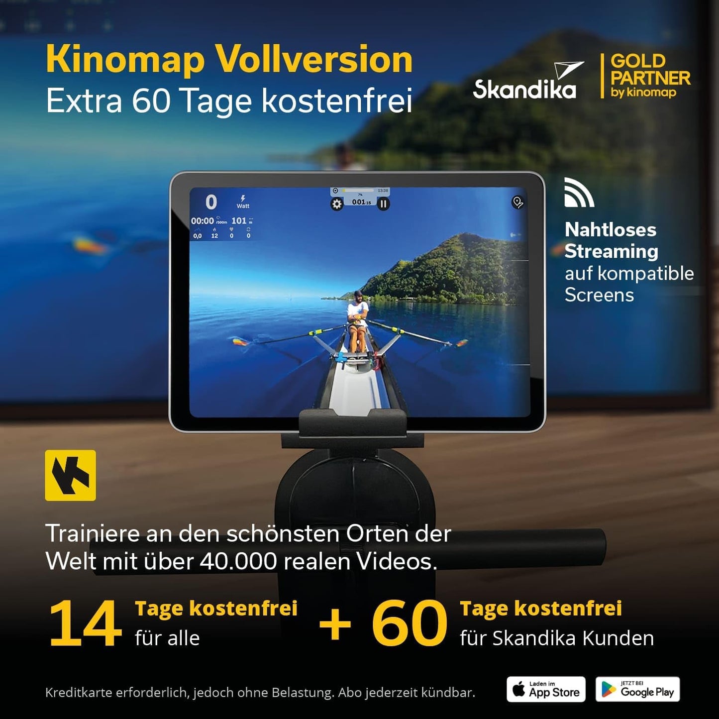 Skandika Rudergerät Oxford Pro, Magnetbremse, Bluetooth, 8 Widerstandsstufen, bis 120 kg, App-kompatibel